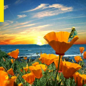 Album: Rexx Life Raj - California Poppy 2 Album: Rexx Life Raj - California Poppy 2