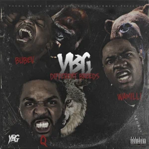 Bubev, Wamilli & Q - Different Breeds
