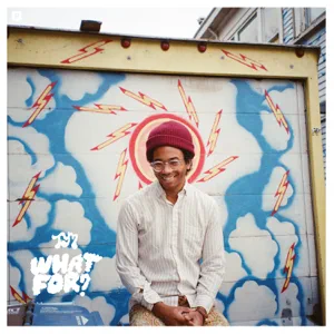 toro y moi what for toro y moi what for