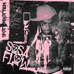 sosa flow single spotemgottem sosa flow single spotemgottem