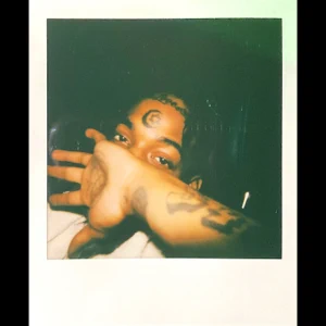 first degree single thouxanbanfauni first degree single thouxanbanfauni