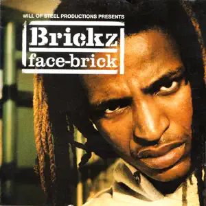 Face Brick Brickz Face Brick Brickz