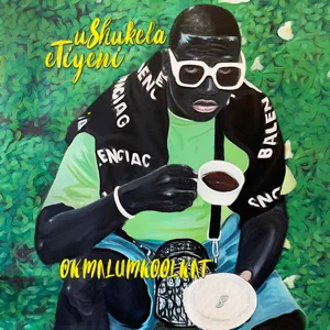 uShukela eTiyeni Okmalumkoolkat uShukela eTiyeni Okmalumkoolkat