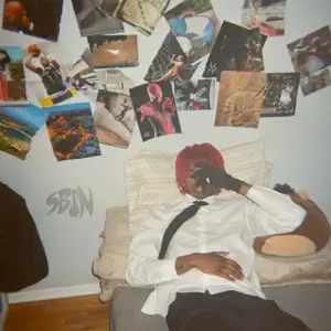 HATE IT OR LOVE IT Single DC The Don HATE IT OR LOVE IT Single DC The Don