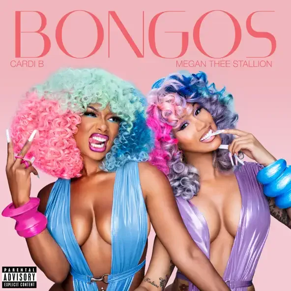 Bongos Single Bongos Single