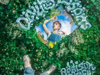 Album: Addison Grace - Diving Lessons Diving Lessons