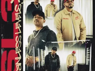 ALBUM: 2 Eleven & T.F - Skanless Levels 3 Skanless Levels 3