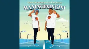 Vanhu Va MtakaRoW – Maninginingini Ft. King Tsonga Vanhu Va MtakaRoW – Maninginingini Ft. King Tsonga