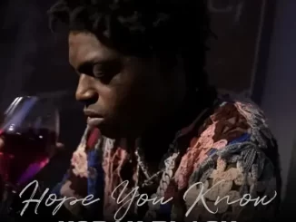 Kodak Black - Hope You Know Hope You Know Single