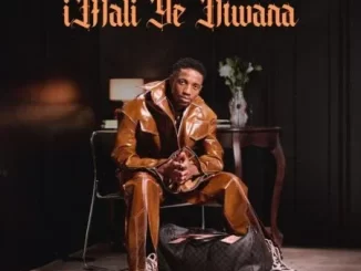 Album: Sam Deep - iMali Ye Ntwana Album: Sam Deep - iMali Ye Ntwana