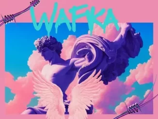 DR FEEL - WAFIKA FT. PHILASANDE DR FEEL – WAFIKA FT. PHILASANDE