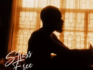 Album: D'banj - Stress Free, Chapter 1 Stress Free, Chapter 1