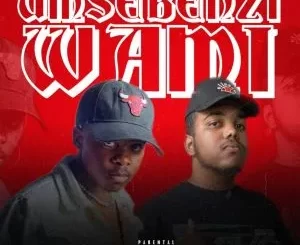 DJ JOSH & Yung Silly Coon - Umsebenzi Wami DJ JOSH & Yung Silly Coon – Umsebenzi Wami