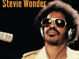 Album: Stevie Wonder - Additional Singles & Rarities Additional Singles & Rarities