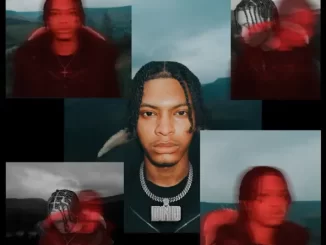 Album: Nemzzz - DO NOT DISTURB (DELUXE) DO NOT DISTURB (DELUXE)