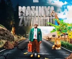 Gusba Banana - Musidzana (Intro) ft Mutendas jnr Gusba Banana - Malavhutanu (Bonus)