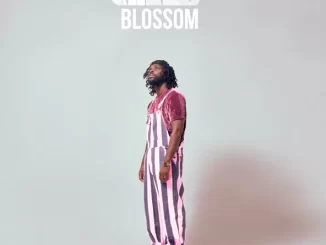 Dear Silas - The Village The Last Cherry Blossom