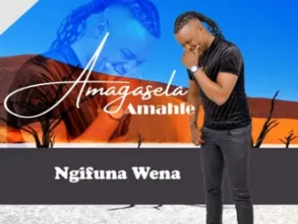 EP: Stabhilithi - Amagasela Amahle (Ngifuna Wena) Stabhilithi – Amagasela Amahle (Ngifuna Wena)
