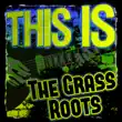 The Grass Roots – This Is the Grass Roots (Rerecorded)