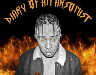 PatricKxxLee – Diary of an Arsonist