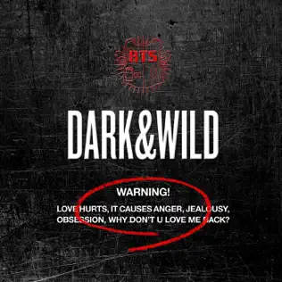 BTS – DARK&WILD