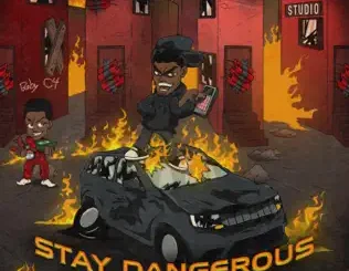 CEO Trayle – Stay Dangerous