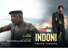 INdoni – Amaqembu Epolitiki