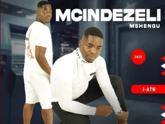 Mcindezeli Mshengu – Usizi