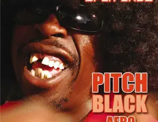 Pitch Black Afro – Split Endz