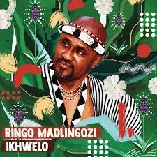 Ringo Madlingozi – MNT’OMNYAMA
