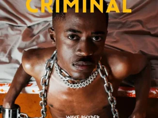 Wave Rhyder – Criminal