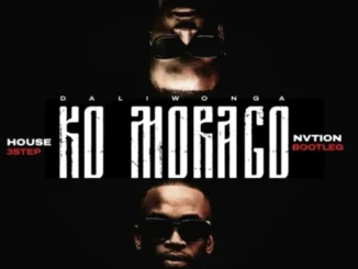 Daliwonga – Ko Morago(House Nvtion’s 3 step bootleg)
