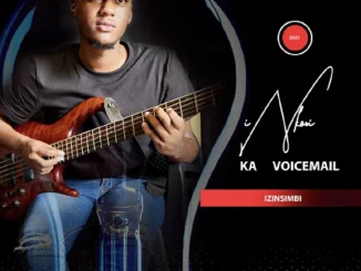 Inkosi kaVoicemail – Izinsimbi
