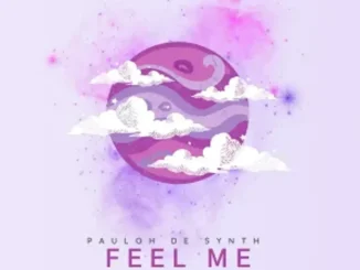 Pauloh De Synth – Feel Me ft Cyatt RSA, BusyExplore & Dunn’s SA
