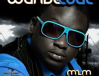 Wande Coal – Mushin 2 Mo' Hits
