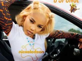 Zee Nxumalo – U’Sponge