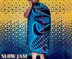 DJ Manzo SA – Slow Jam ft Themba Mbokazi