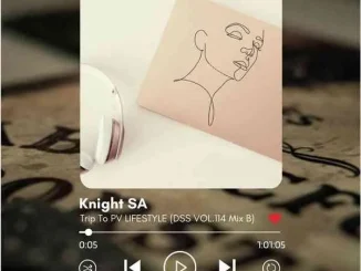 Knight SA – DSS VOL.114 Mix B (Trip To PV Lifestyle II)