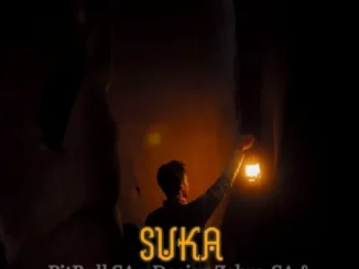 PitBull SA – Suka ft Deejay Zebra SA & Baba KaSimba