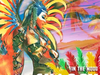 ALBUM: Shaggy – In The Mood Shaggy In The Mood