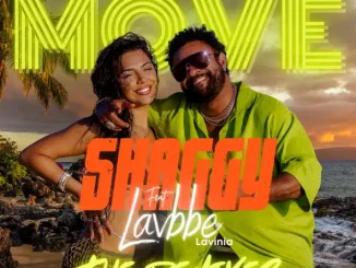 ALBUM: Shaggy & Lavbbe – MOVE (The Remixes) Shaggy & Lavbbe – MOVE (The Remixes)