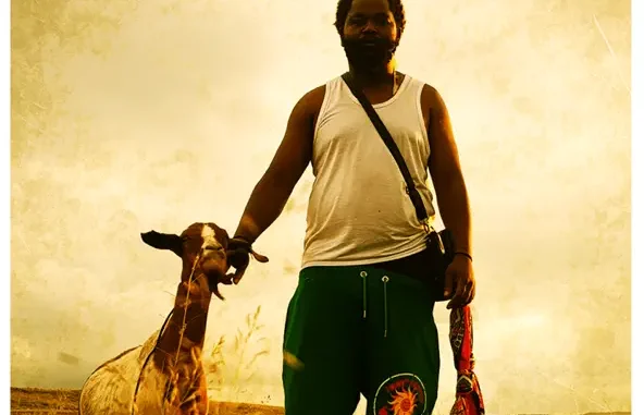 Sjava – Umsebenzi