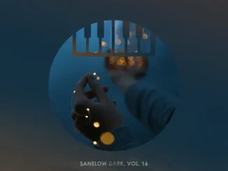 Album: VA - Sanelow Dark, Vol. 16 VA – Sanelow Dark, Vol. 16