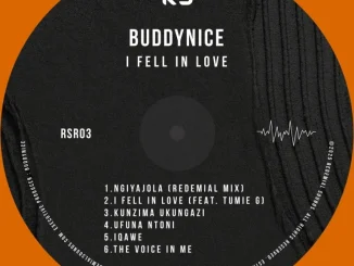 Buddynice – I Fell In Love