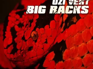 Cassius Jay – Big Racks (feat. Lil Uzi Vert) Cassius Jay – Big Racks (feat. Lil Uzi Vert)