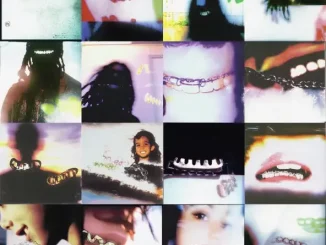 Cochise - BRACES Cochise BRACES