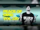 DJ Ace – Peace of Mind Vol 120 (Slow Jam 2025 Mix)