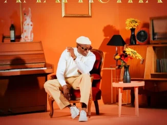 Album: DJ MOSCOW - Amaphutha DJ MOSCOW – Amaphutha