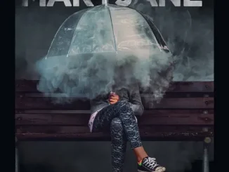 DJ Vigilante Mary Jane (feat. Yung Swiss, A Reece and Maggz)