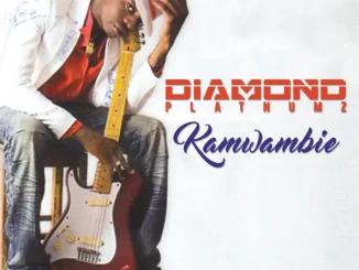 Diamond Platnumz – Kamwambie